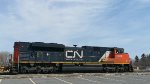 CN 8819